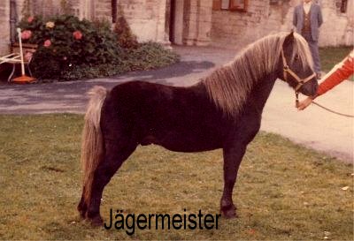 jaegermeister400